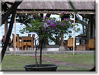 Bali_P205.JPG