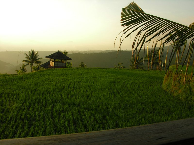 Bali_P329.JPG