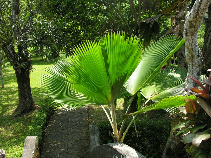 Bali_P348.JPG