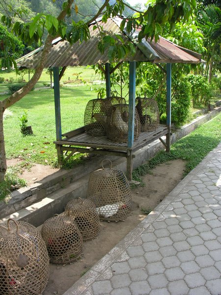 Bali_P502.JPG