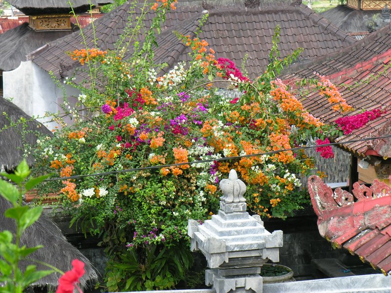 Bali_P612.JPG