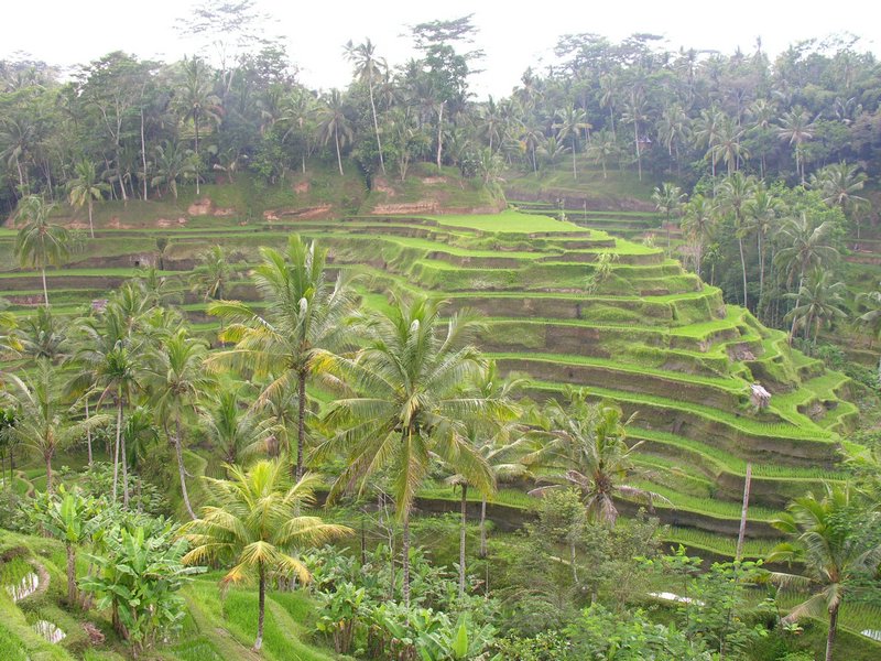 Bali_P650.JPG