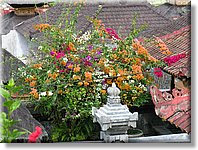 Bali_P612.JPG