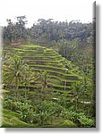 Bali_P649.JPG